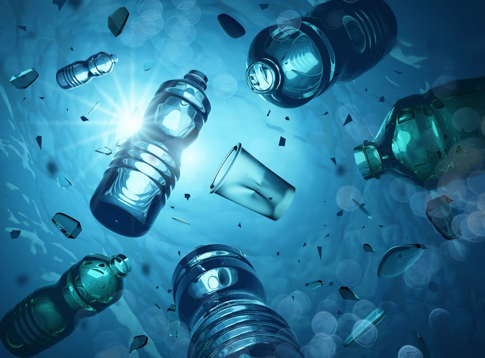 A bathing suit made of plastic, The Bitch-Boxer