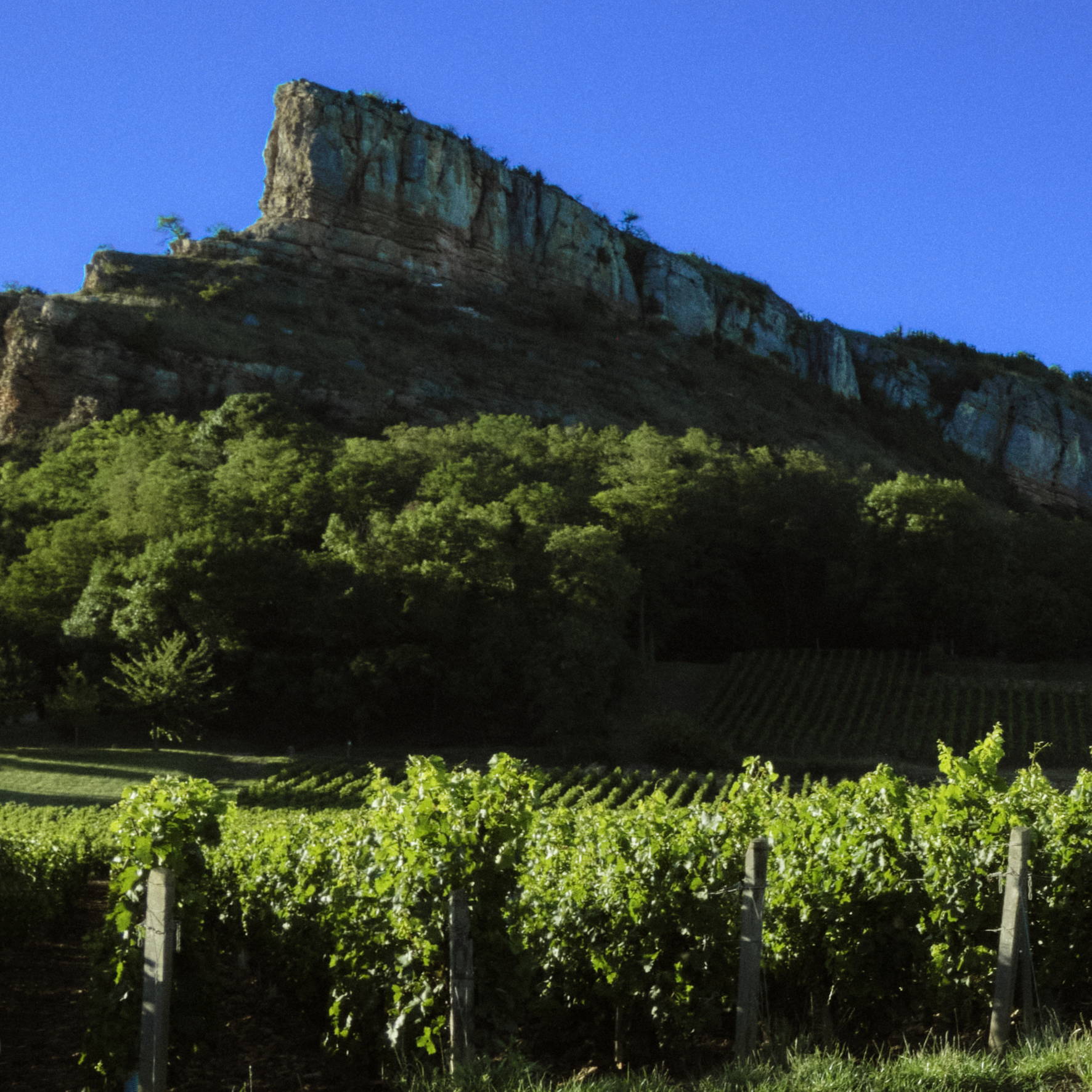 10 Years Anniversary Show